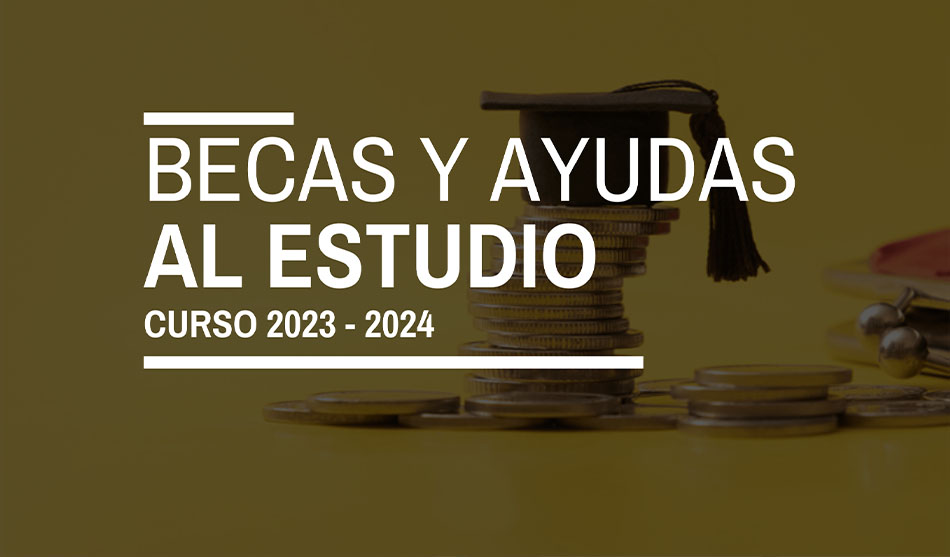 154- ¿Cuánto tardan en concederme una beca o ayuda?