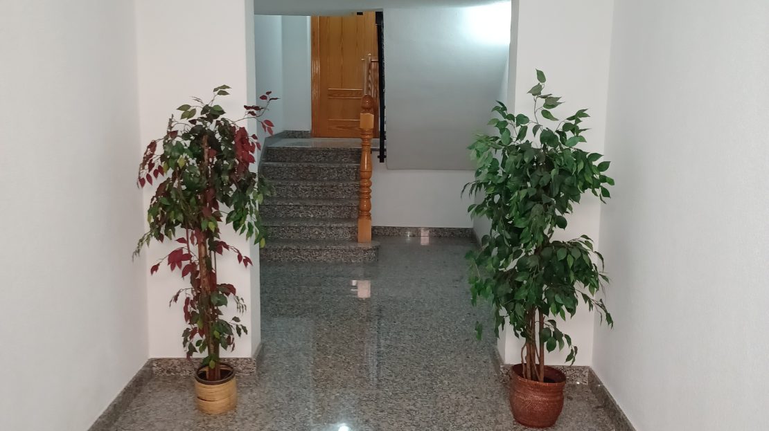 video image