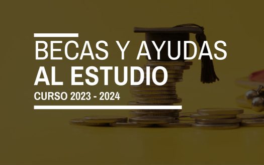 becasss BLOG
